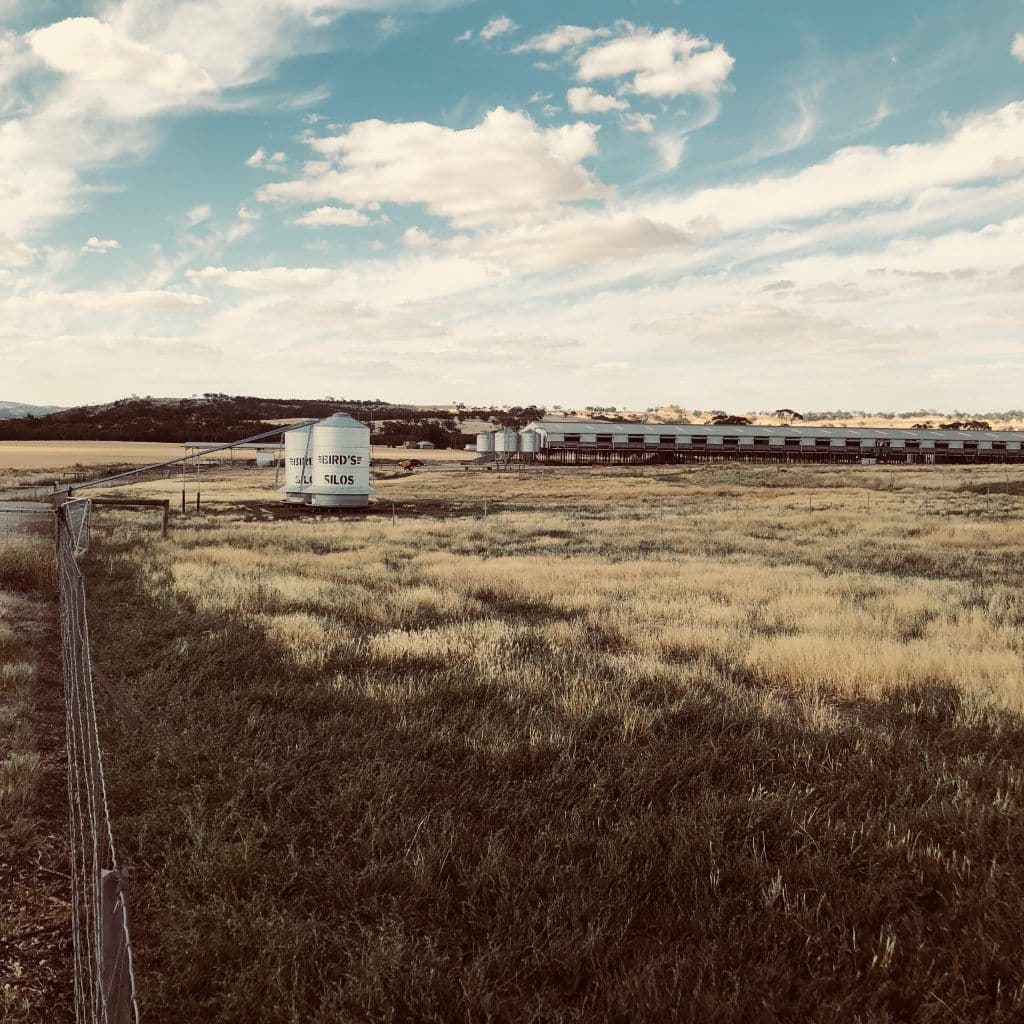 A field with an industrial factory behind them